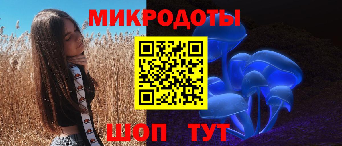 Галлюциногенные грибы мицелий Ростов Великий